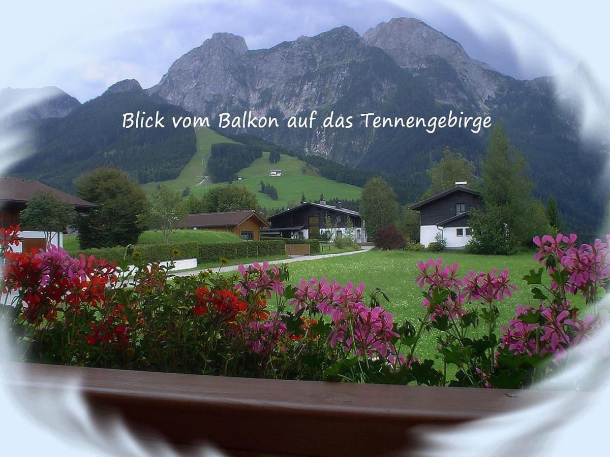 Apartment Dreier - Salzburger Land 압티나우 객실 사진